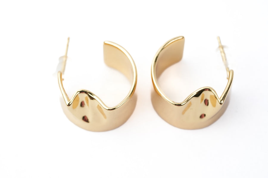 Earrings EGGHJ67